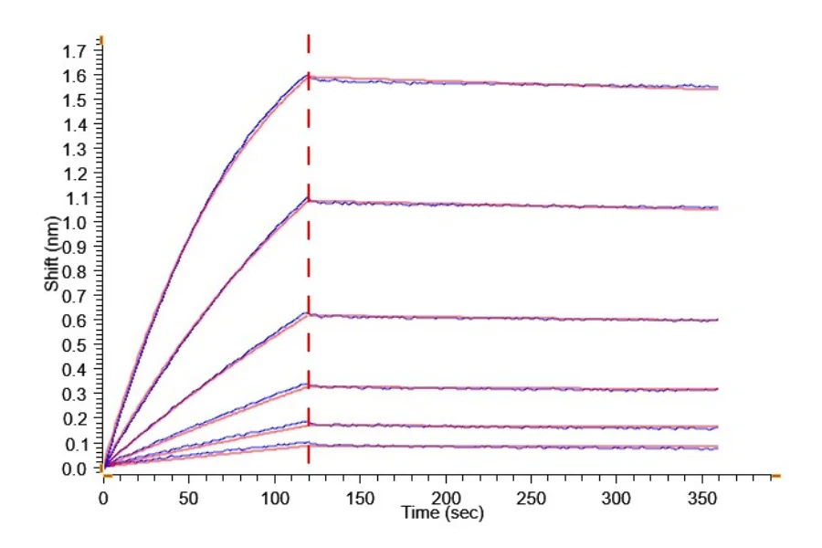 DLL3-HB002 BLI result