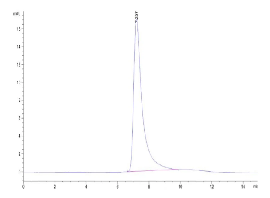 DLL4-HB003 SEC-HPLC result