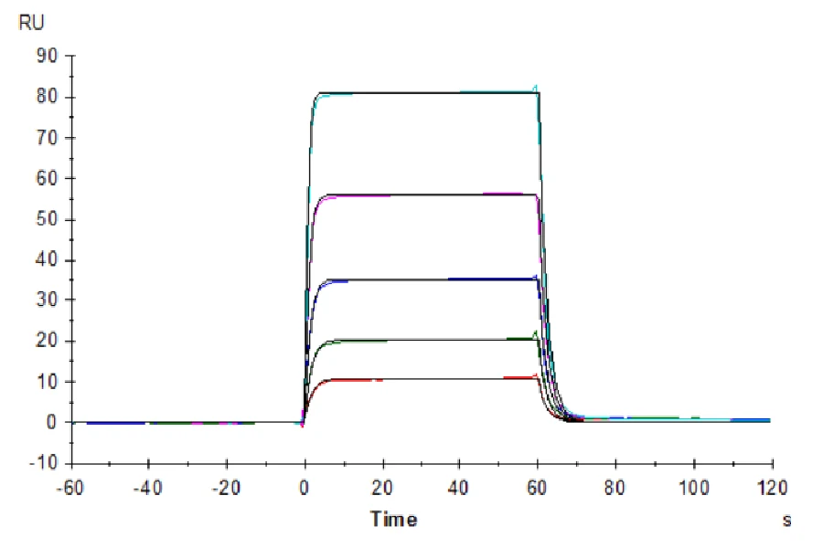 DNAM1-HB001 SPR result