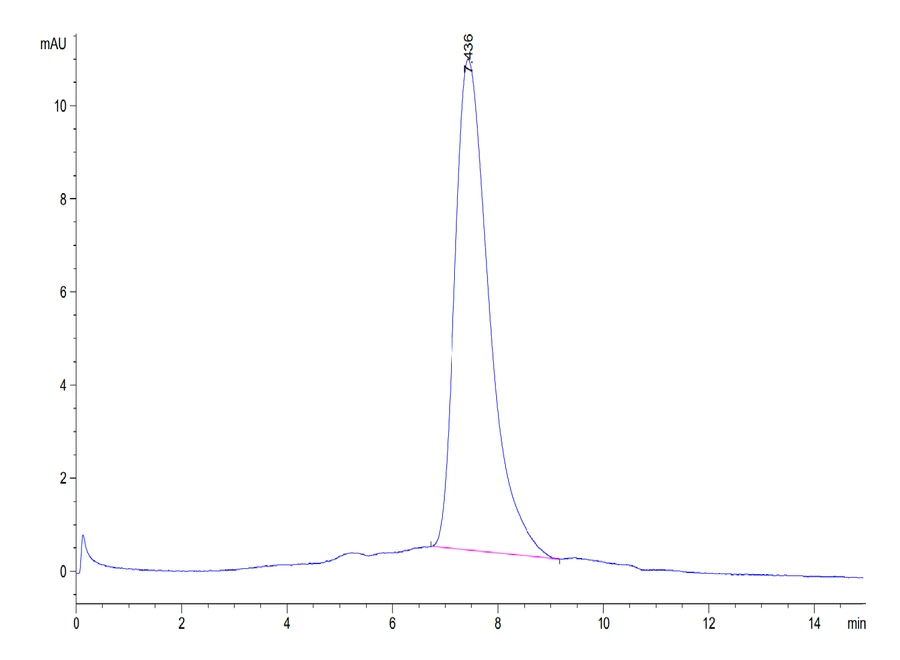DNAM1-HB002 SEC-HPLC result