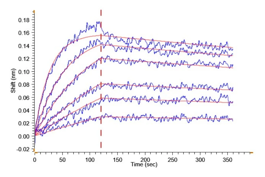 DNAM1-HP002 BLI result