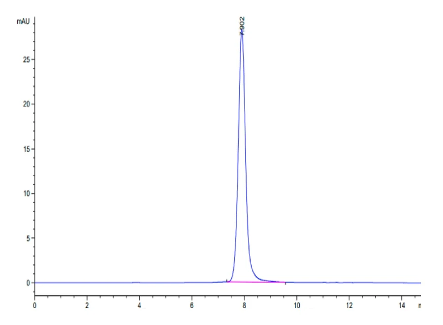 DR4-HF001 SEC-HPLC result