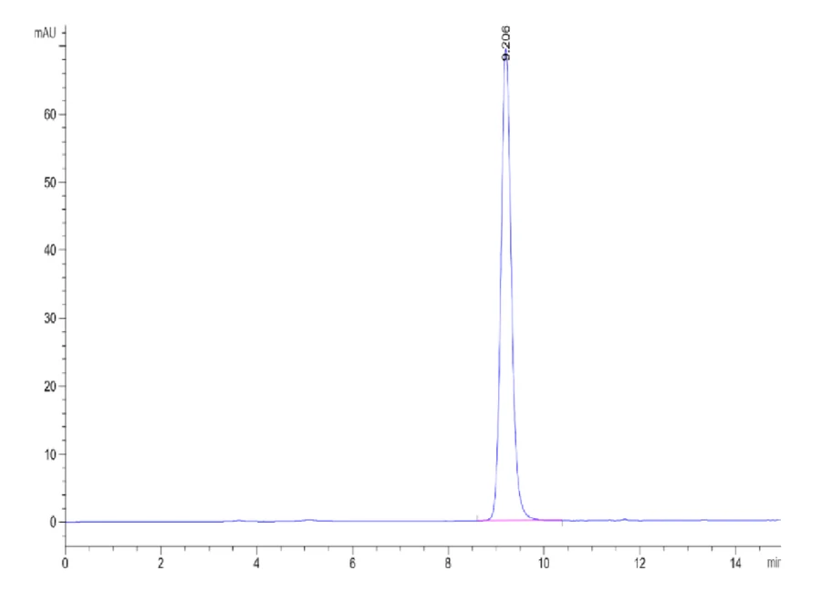 EBVLMP1-HB001 SEC-HPLC result