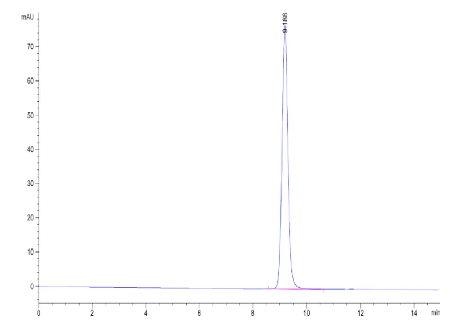 EBVLMP1-HP001 SEC-HPLC result