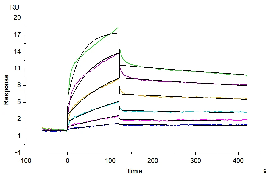 EGF-HP001 SPR result