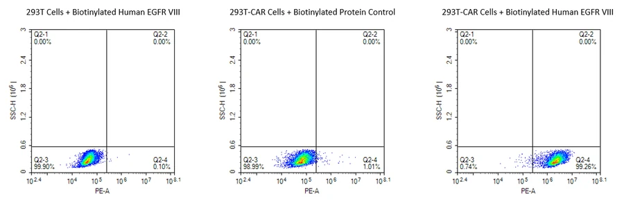 EGFRVIII-HB001 Flow-Cytometry result