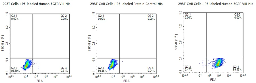 EGFRVIII-HP002 Flow-Cytometry result