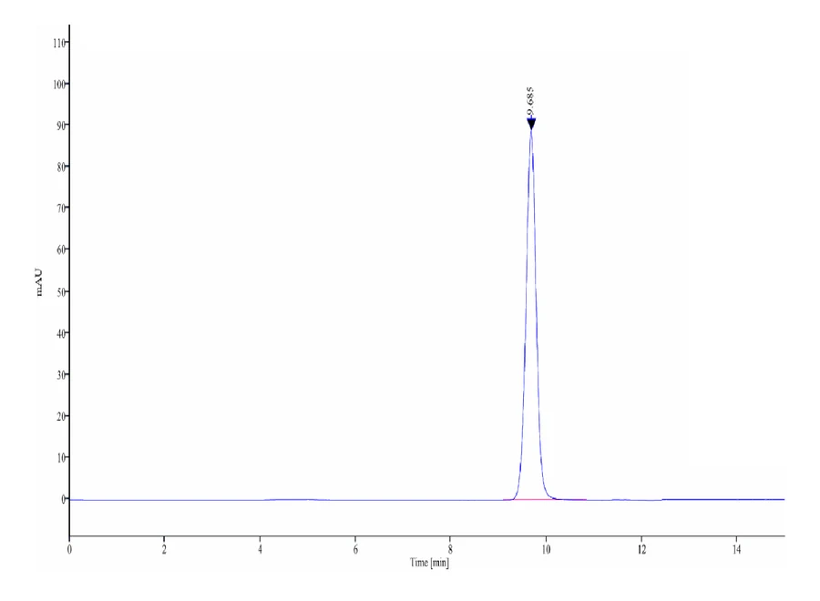 EGFRWT-HP001 SEC-HPLC result