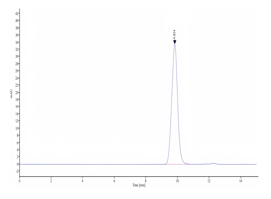 EMMPRIN-HB002 SEC-HPLC result