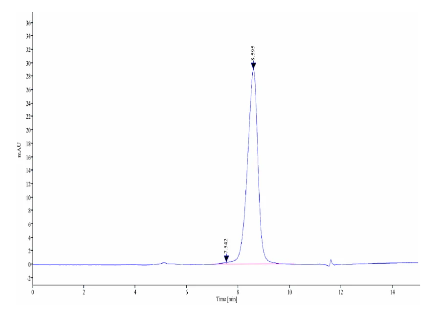 ENPP3-HB001 SEC-HPLC result
