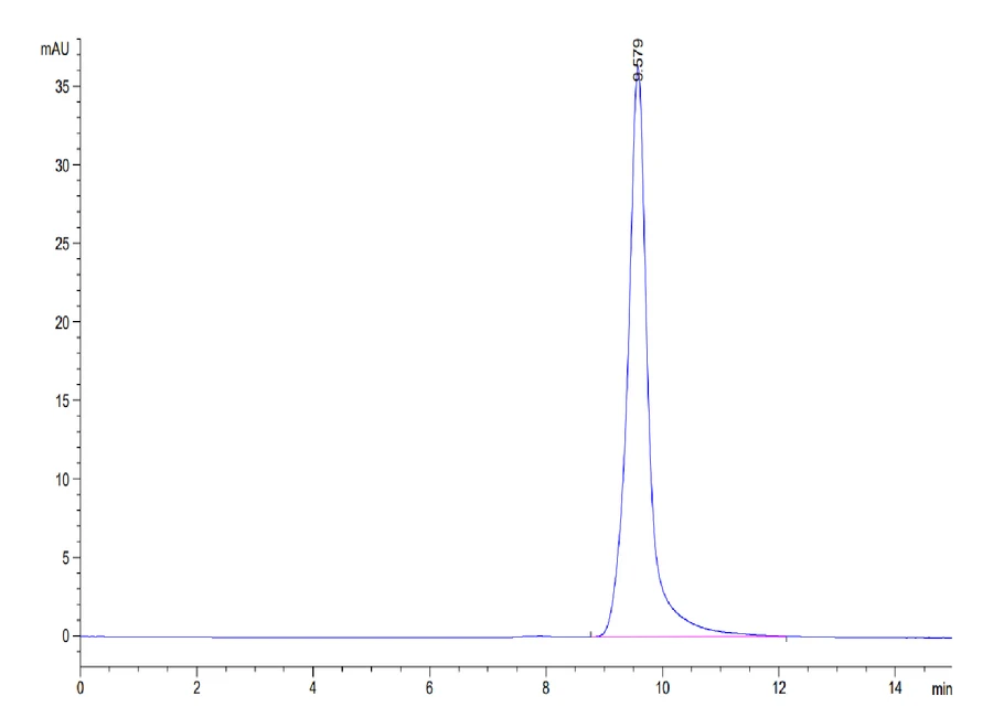 ENPP3-HB002 SEC-HPLC result