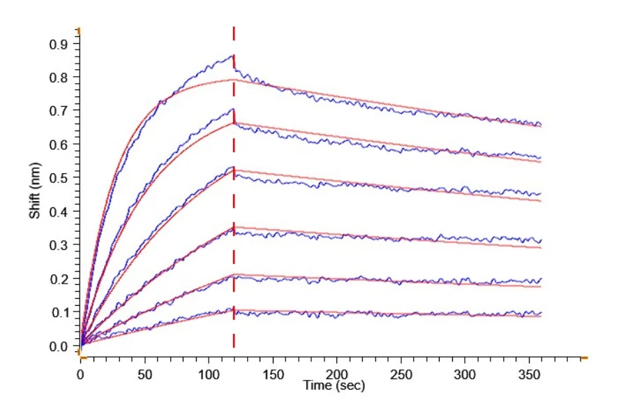 ENPP3-HB003 BLI result