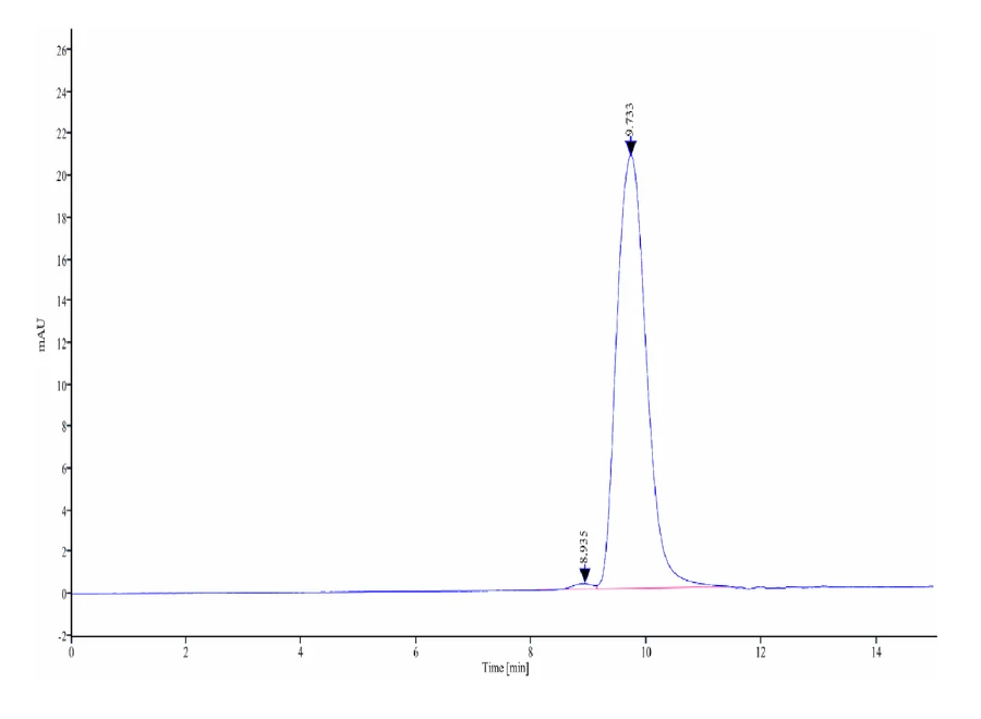 ENPP3-HB003 SEC-HPLC result