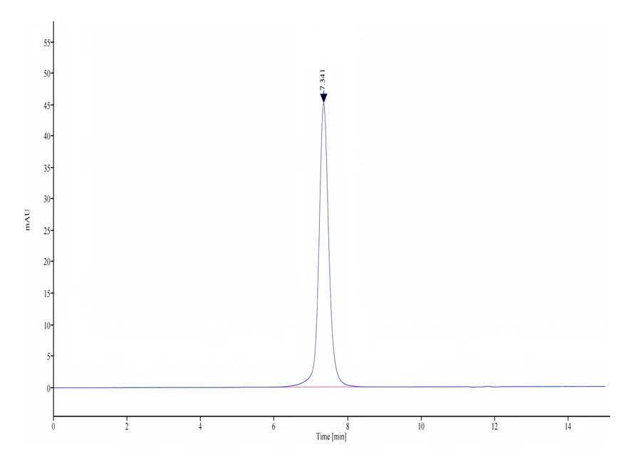 EPHA2-CF001 SEC-HPLC result