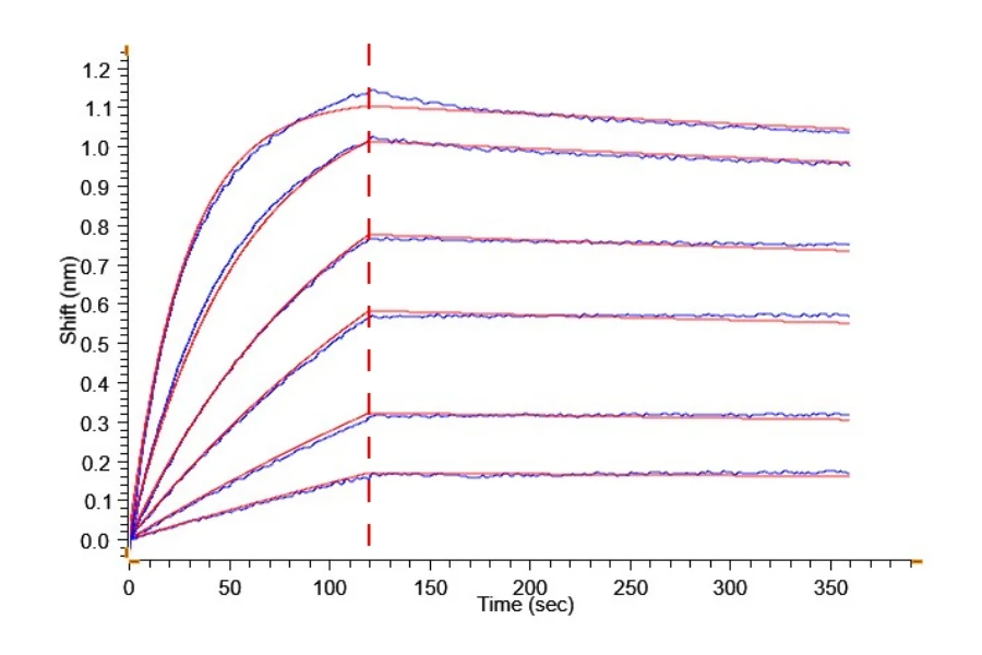 FAP-HB001 BLI result