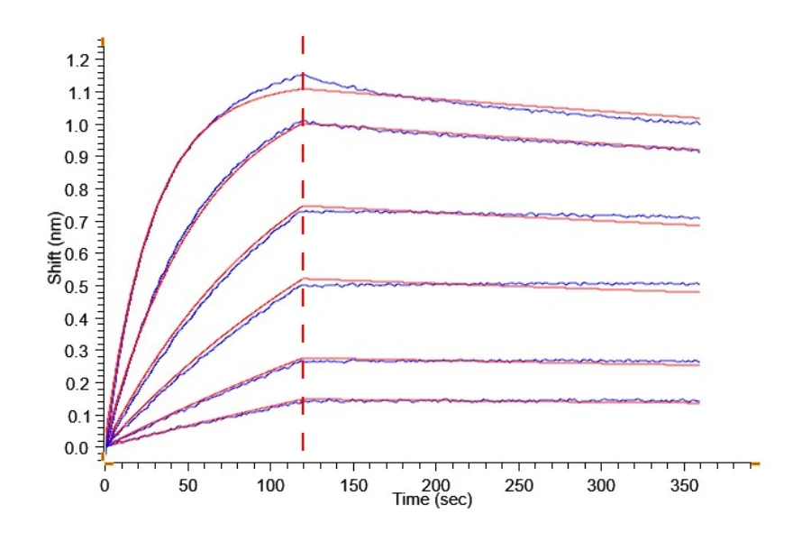 FAP-HP001 BLI result