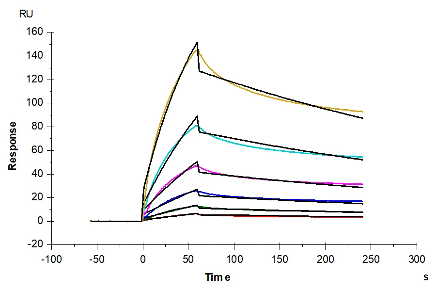 FCRN-CB001 SPR-2 result