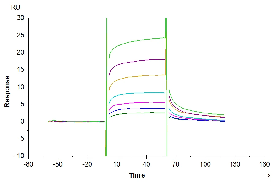 FCRN-CB001 SPR result