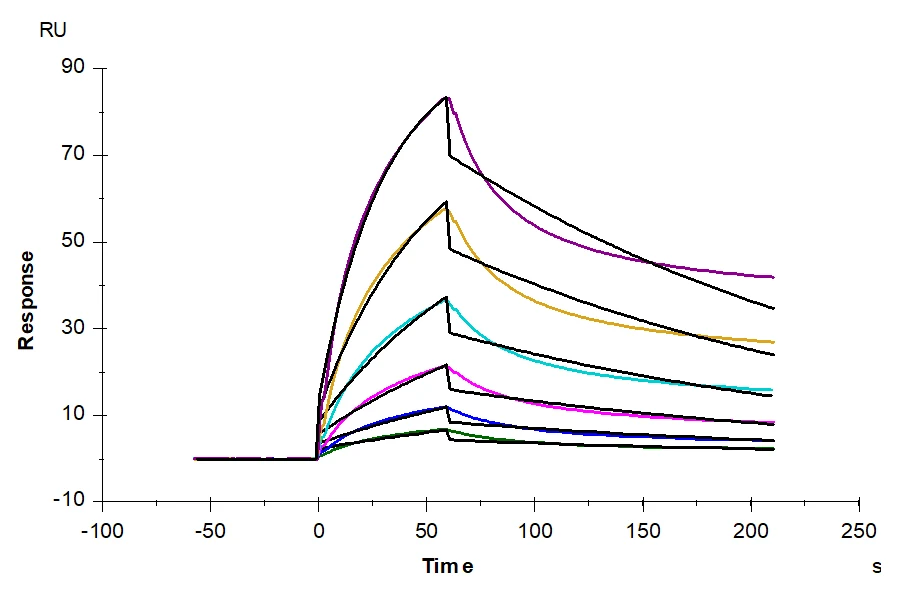 FCRN-HB001 SPR-2 result