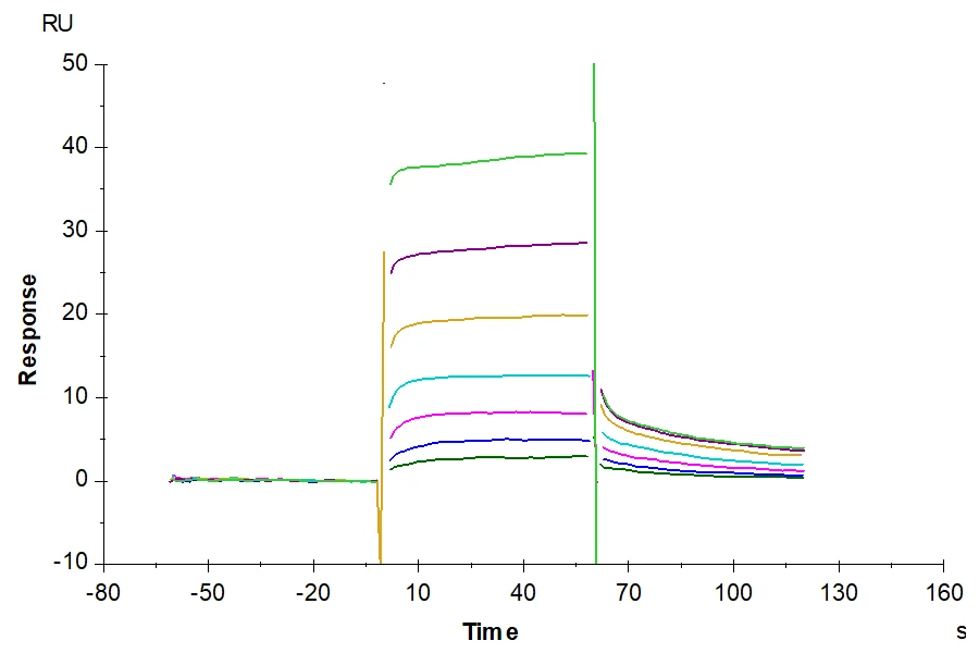 FCRN-HB001 SPR result