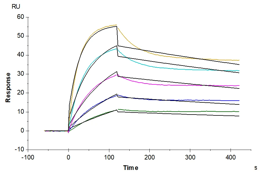 FCRN-MB001 SPR result