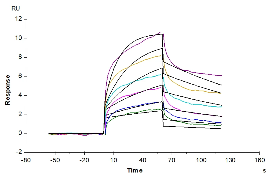 FCRN-MP001 SPR-2 result
