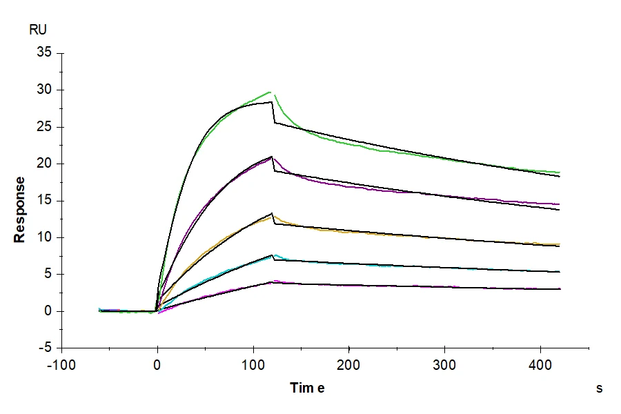 FCRN-MP001 SPR-3 result