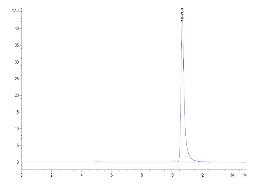 FGF1-HP001 SEC-HPLC result