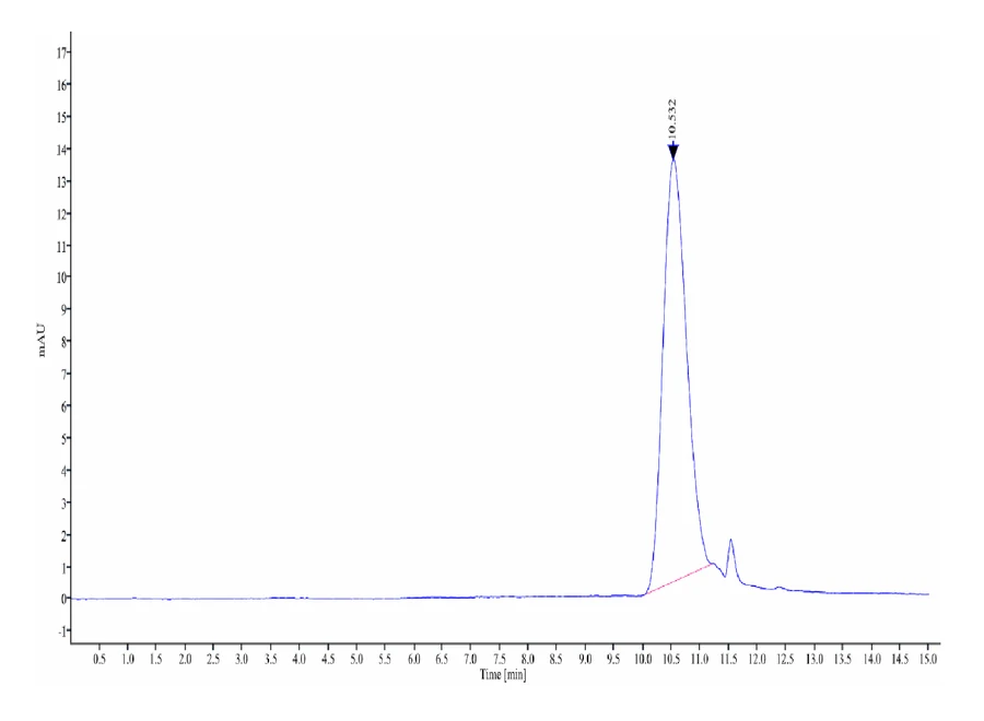 FGF10-HB001 SEC-HPLC result