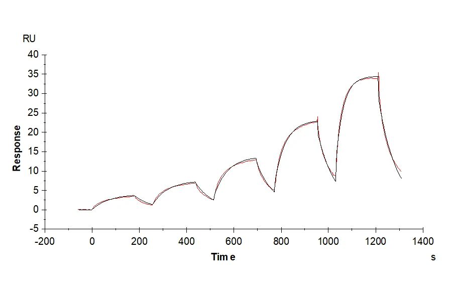 FGF10-HB001 SPR result