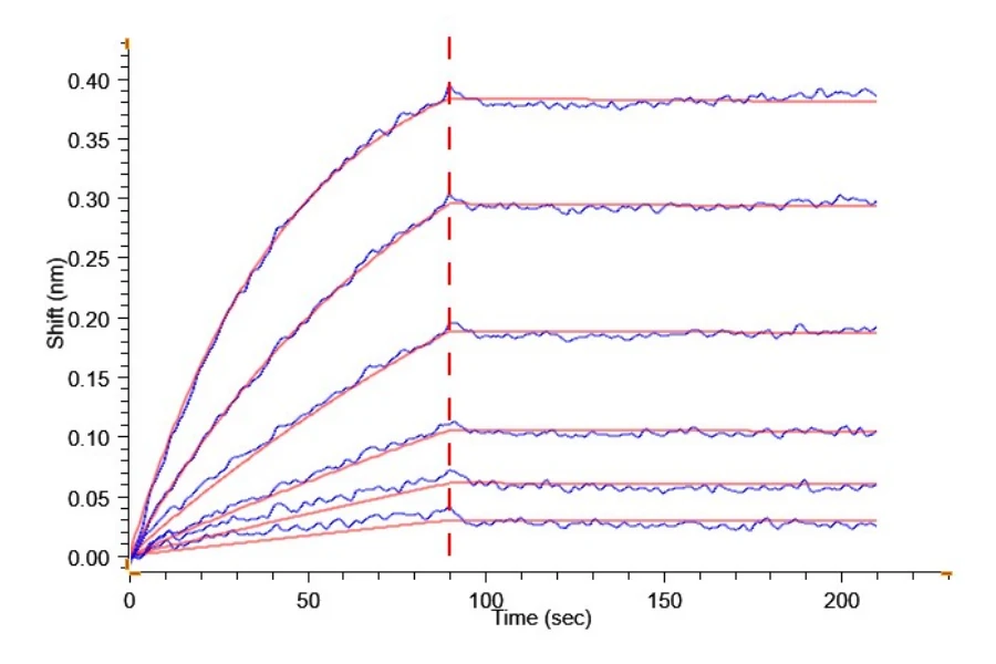 FGF21-HP001 BLI result