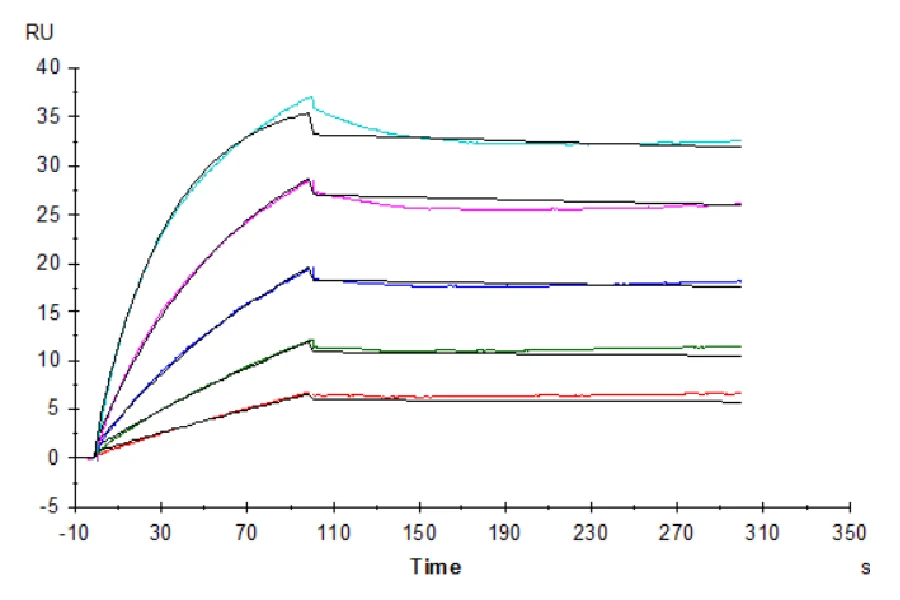 FGF21-HP001 SPR result
