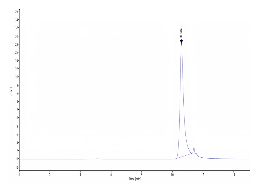 FGFBASIC-HP001 SEC-HPLC result