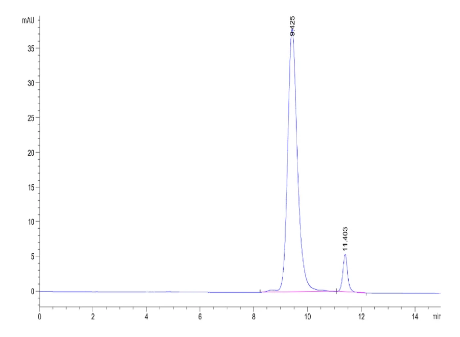 FGFR2-HB005 SEC-HPLC result