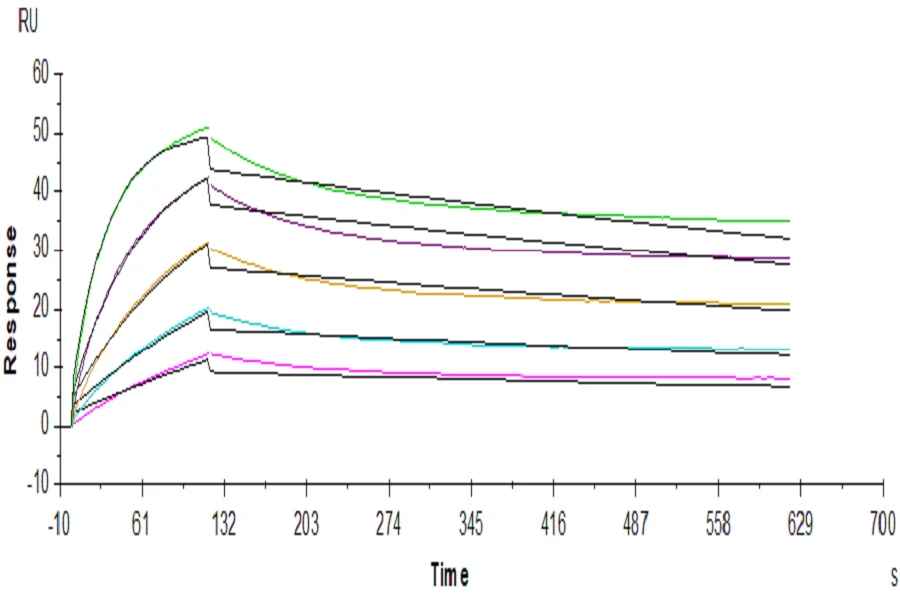 FGFR2-HP004 SPR result