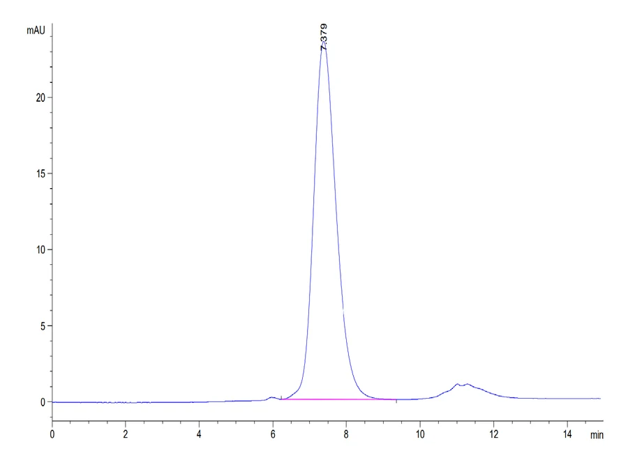 FGFR2-HP006 SEC-HPLC result