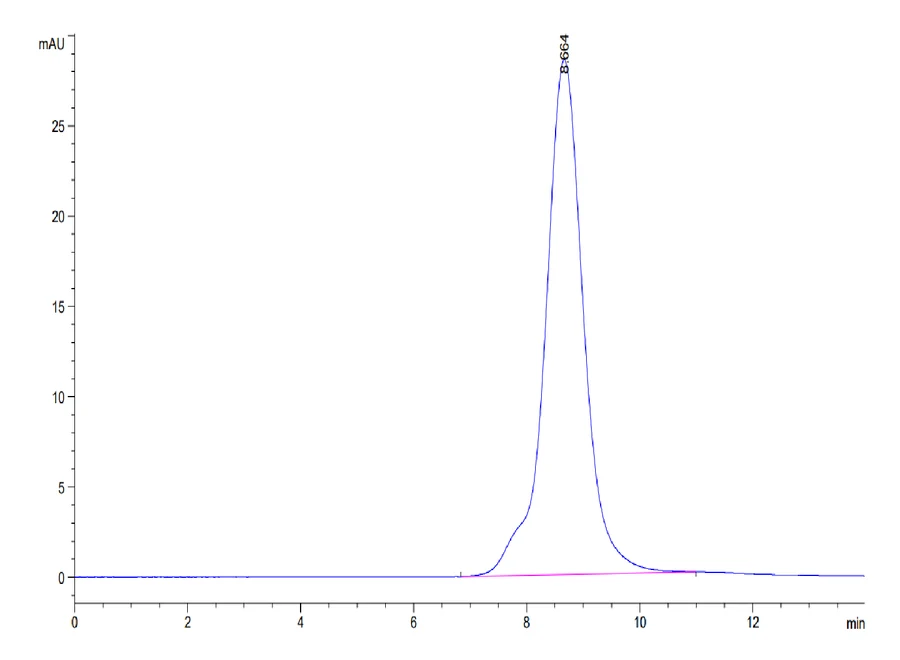FGFR2-MP001 SEC-HPLC result