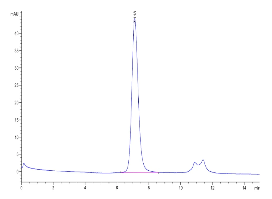 FGFR3-HB003 SEC-HPLC result