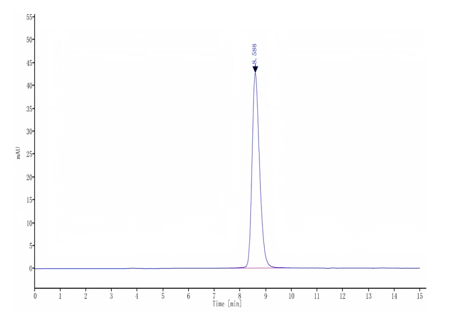 FGFR3-HB004 SEC-HPLC result