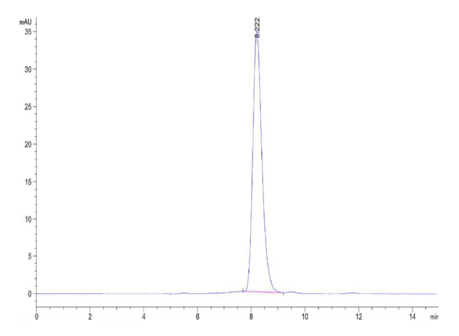 FLT3-HB001 SEC-HPLC result