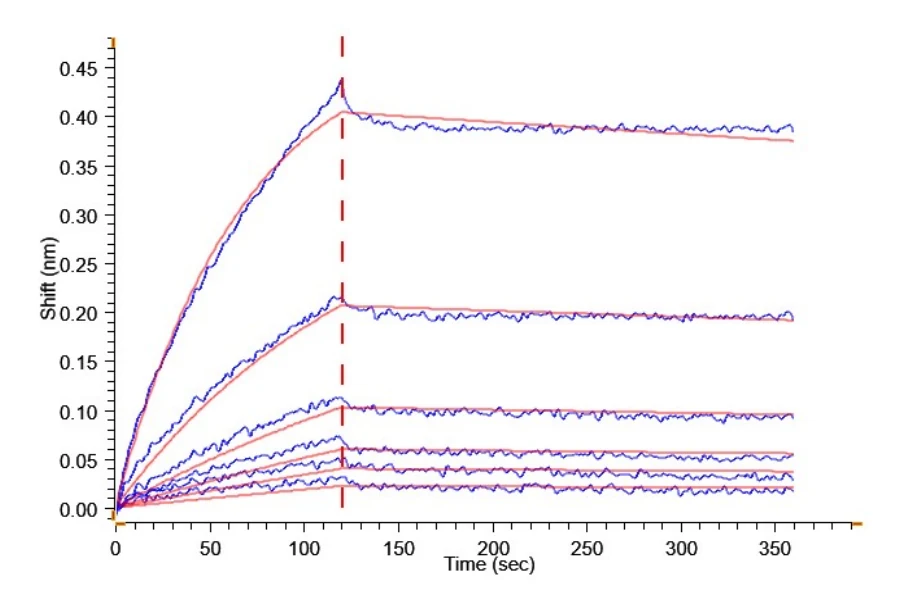 GCGR-HB003 BLI result