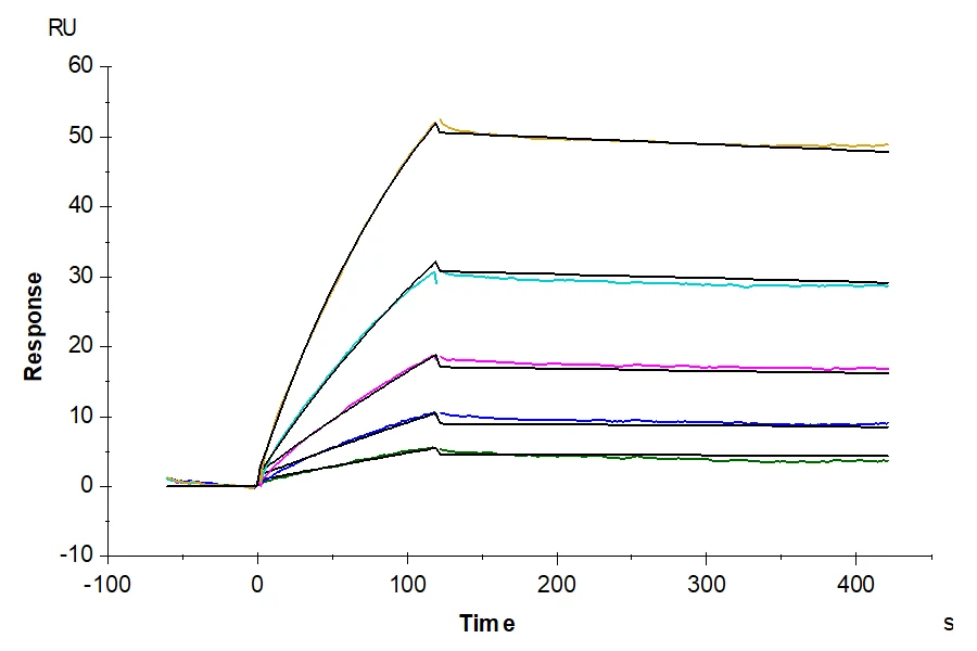 GCGR-HB003 SPR result