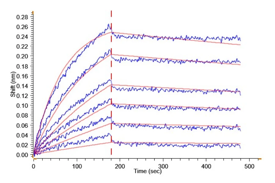 GIPR-HB003 BLI result