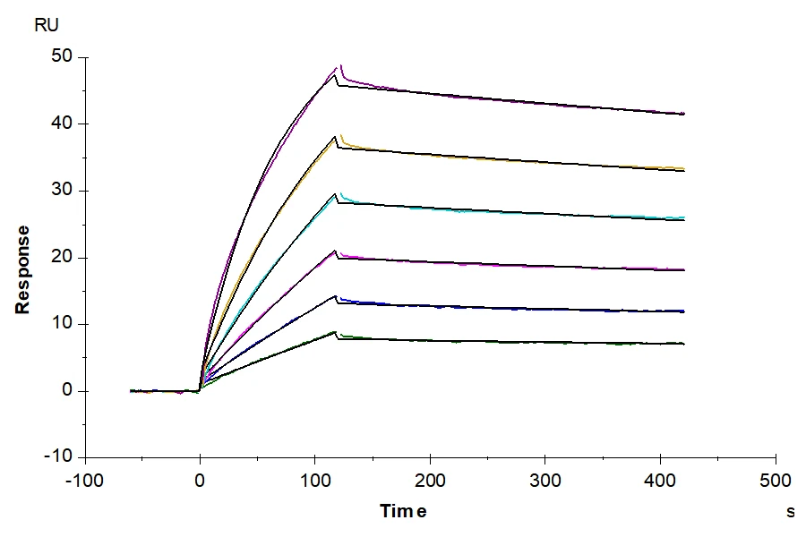 GIPR-HB003 SPR result