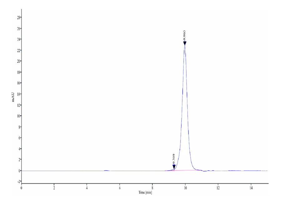 GITR-CP001 SEC-HPLC result