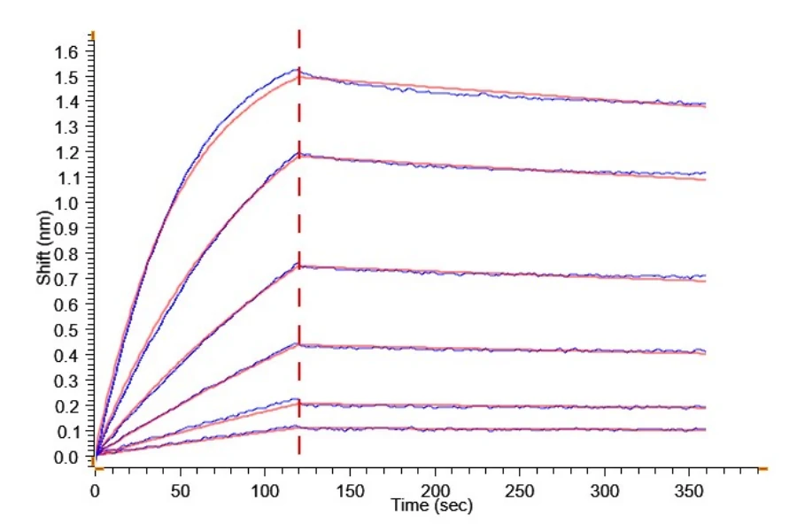 GPC3-HP002 BLI result