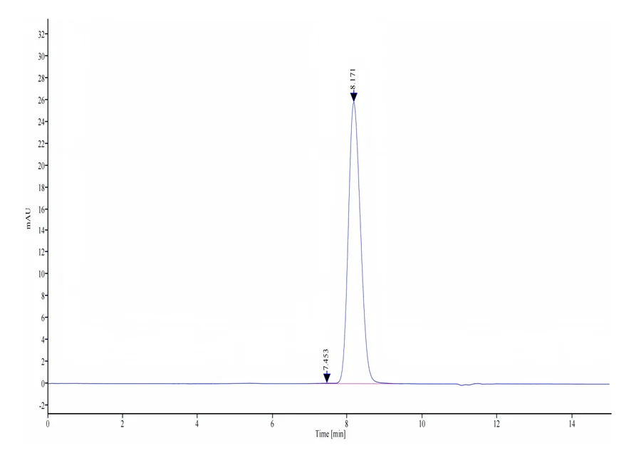 HER2ERBB2-HB001 SEC-HPLC result
