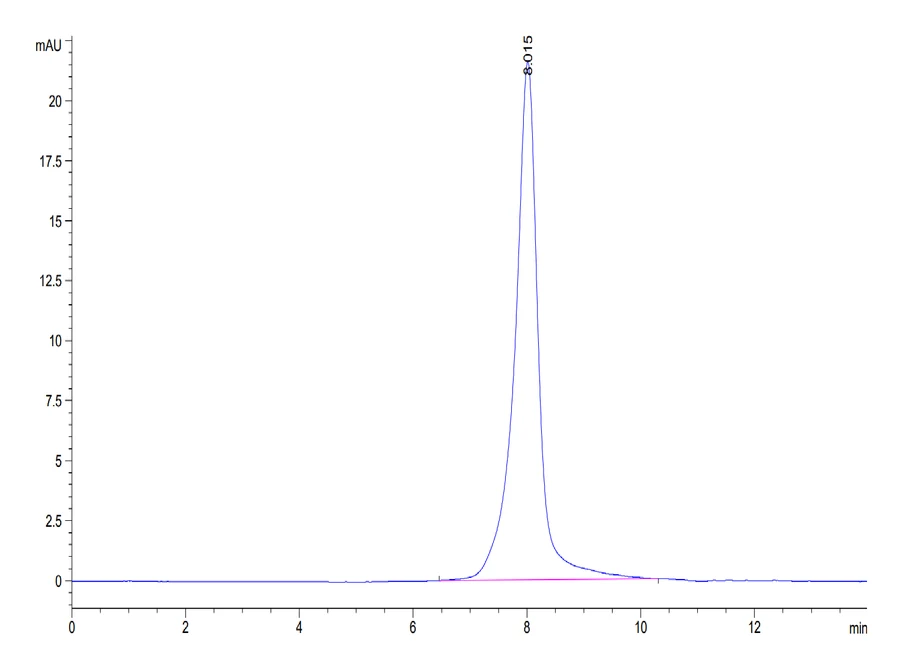 HER3ERBB3-HB001 SEC-HPLC result