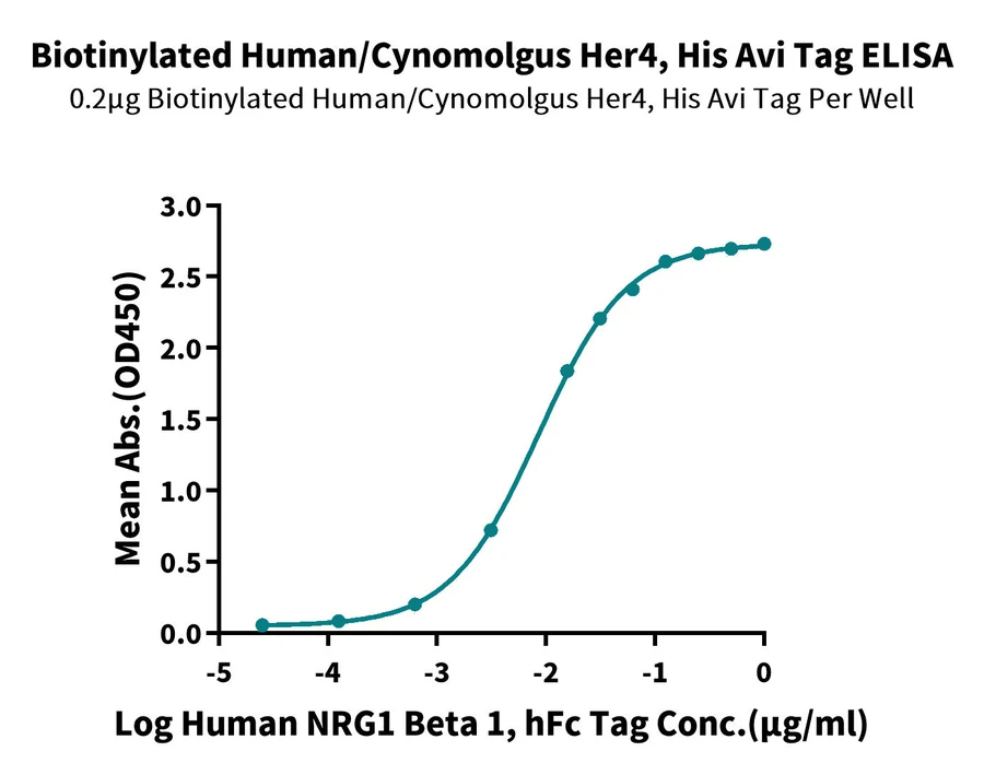 HER4ERBB4-HB001 ELISA result