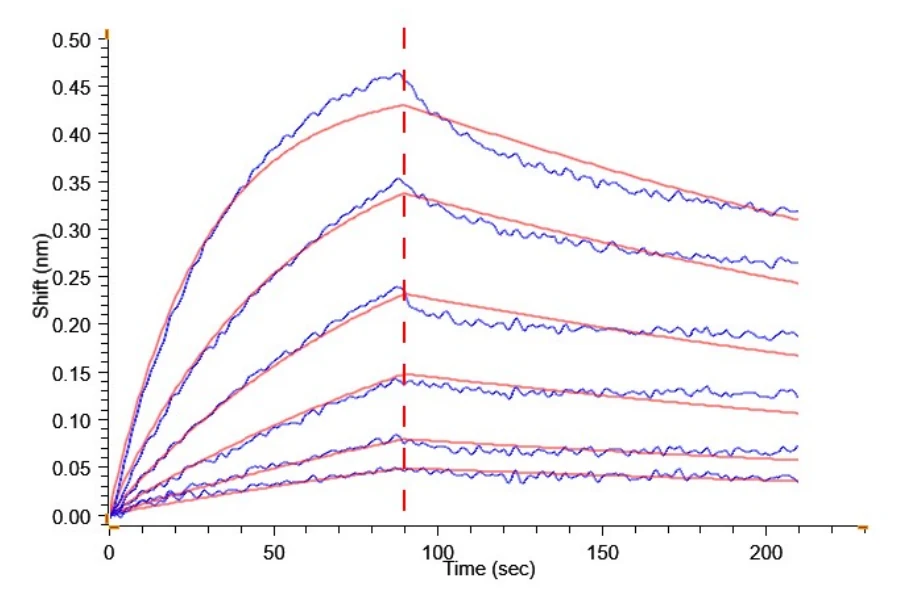 HGF-HP001 BLI result
